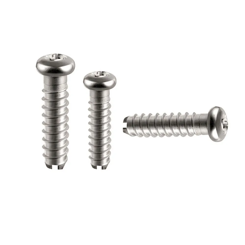 Customized Stainless Steel Self Tapping Screw Cutting Tail – product detail image 1