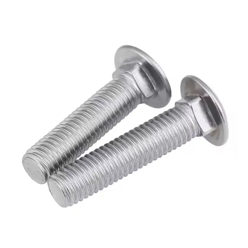 Carriage Bolt (4)