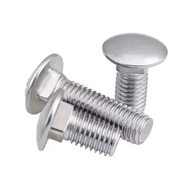 Carriage Bolt (5)