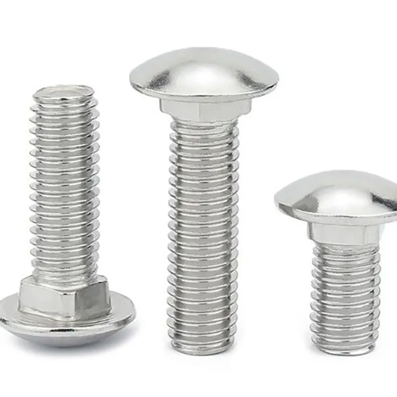 Carriage Bolt (6)