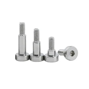 Customed Machine Screw (1)