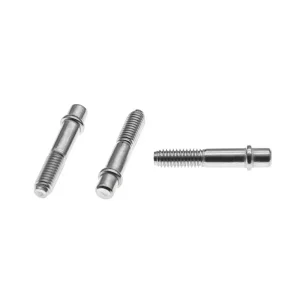 Customed Screw (1)