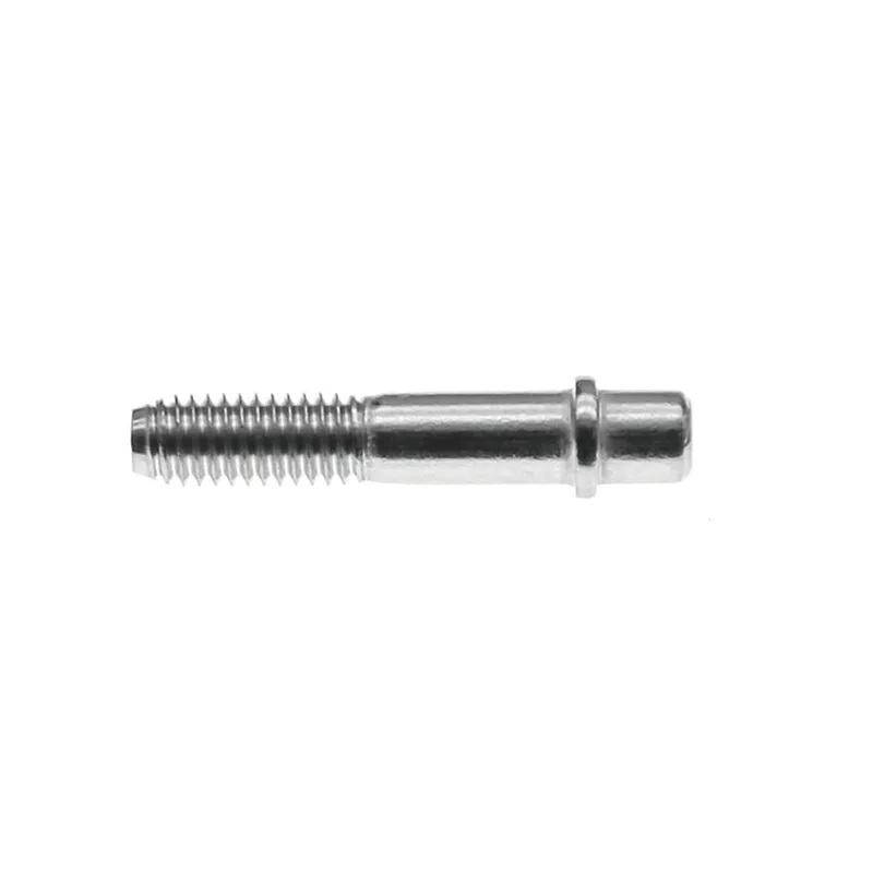 Customed Screw (5)