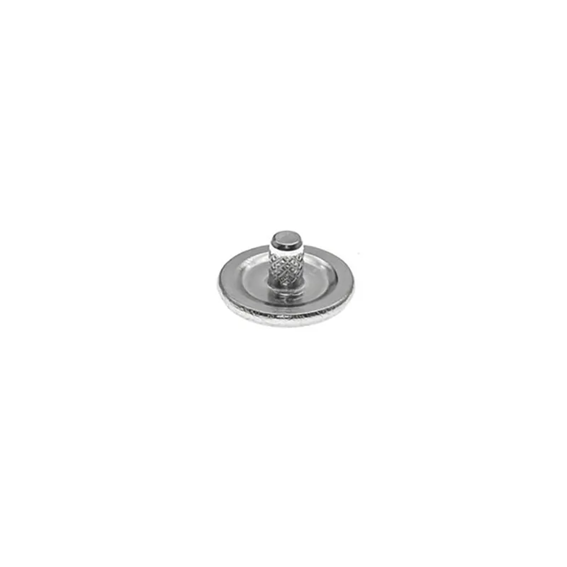 Flat Head Rivet (5)