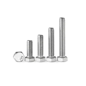 Hex Bolt (3)