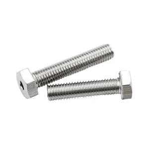 Hex Bolt with Hollow (3)