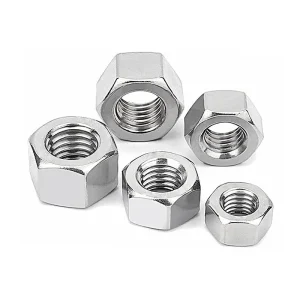 Hex Nut (1)