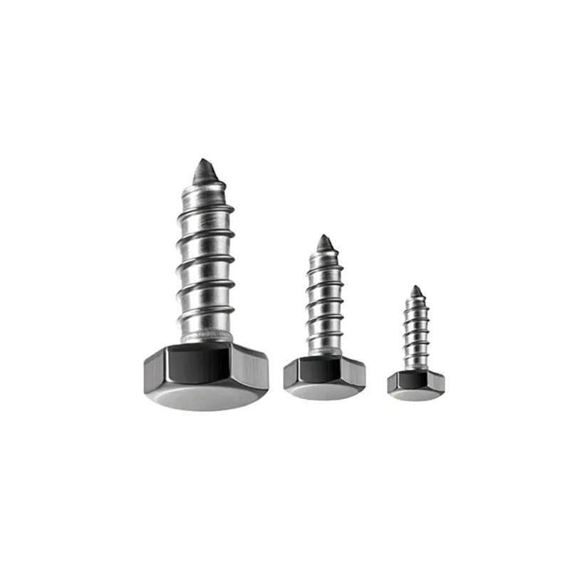 Hex Self Tapping Screw (5)