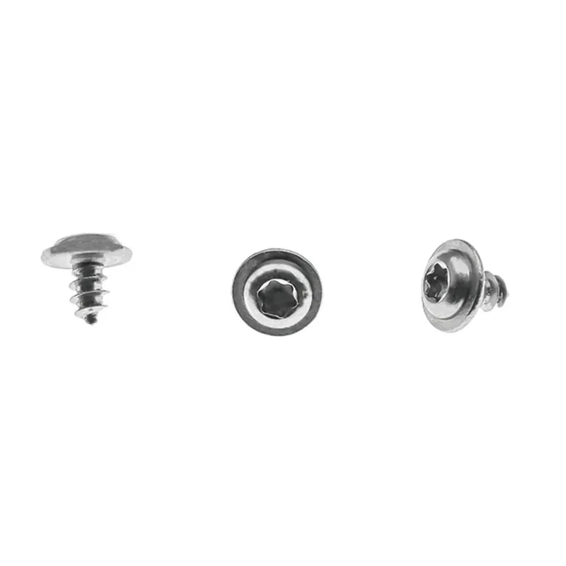 Torx Round Head Self Tapping Screw (1)