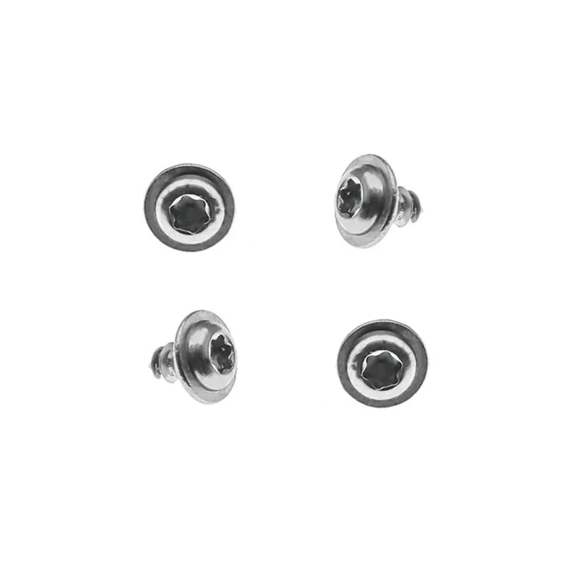 Torx Round Head Self Tapping Screw (2)