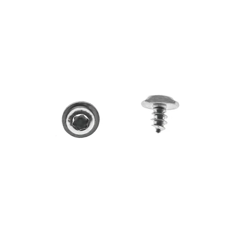 Torx Round Head Self Tapping Screw (3)