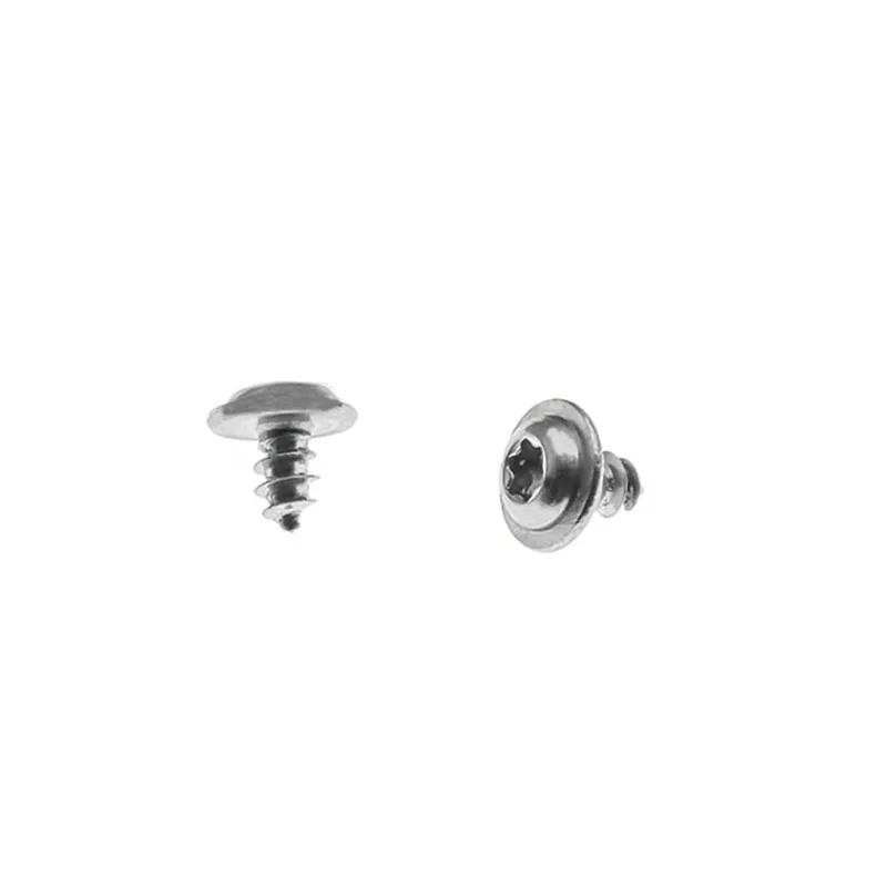 Torx Round Head Self Tapping Screw (4)