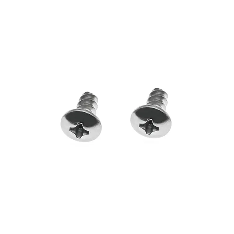 Truss Head Flat Tail Self Tapping Screw (2)