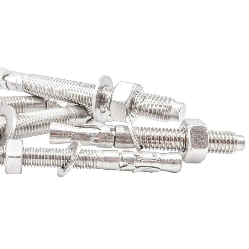Wedge Anchor (1)