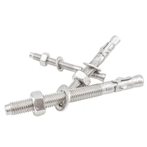 Wedge Anchor (2)