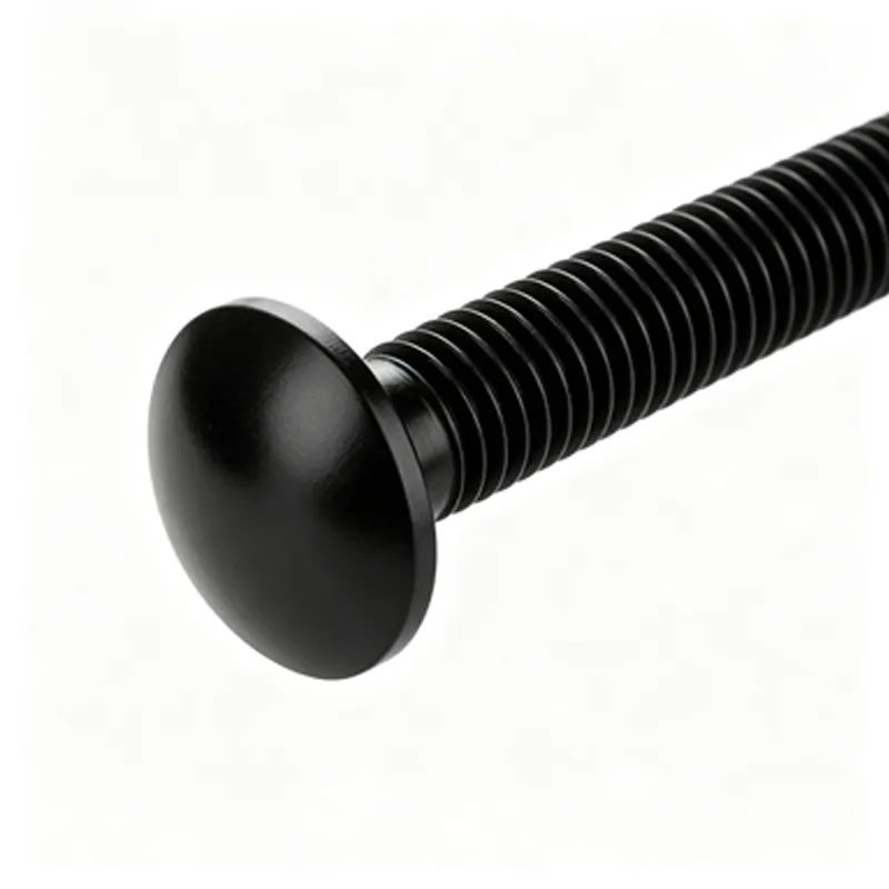 Customized Stainless Steel Hexagon Head Carriage Bolt (3)