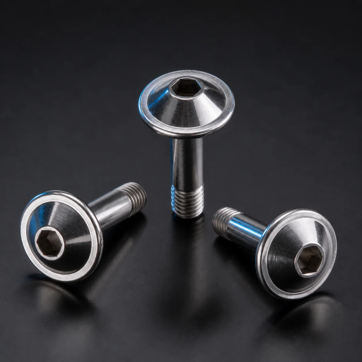 Stainless Steel Dome Head Screws – product view 1