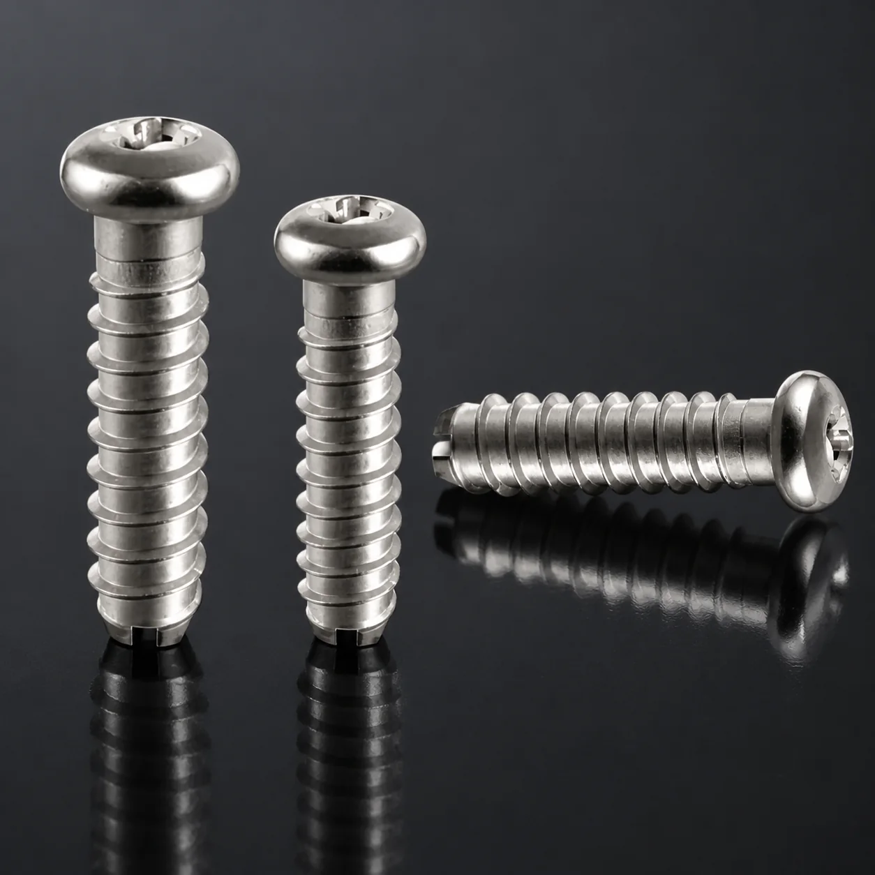 Customized Stainless Steel Self Tapping Screw Cutting Tail – product view 1