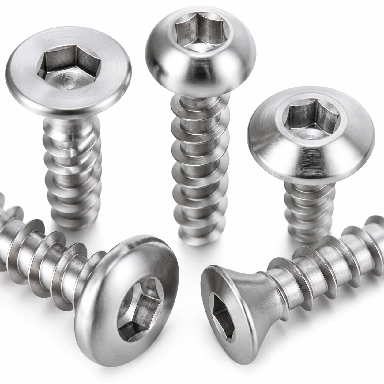 Stainless Steel Furniture Wood Screw Assortment – product view 3