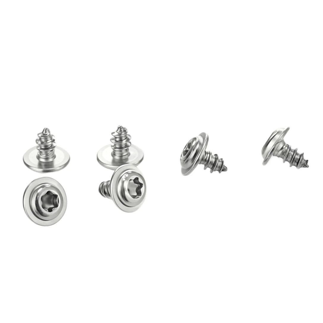 Stainless Steel Torx Washer Head Self-Tapping Screw for Lighting Fixtures – product view 1