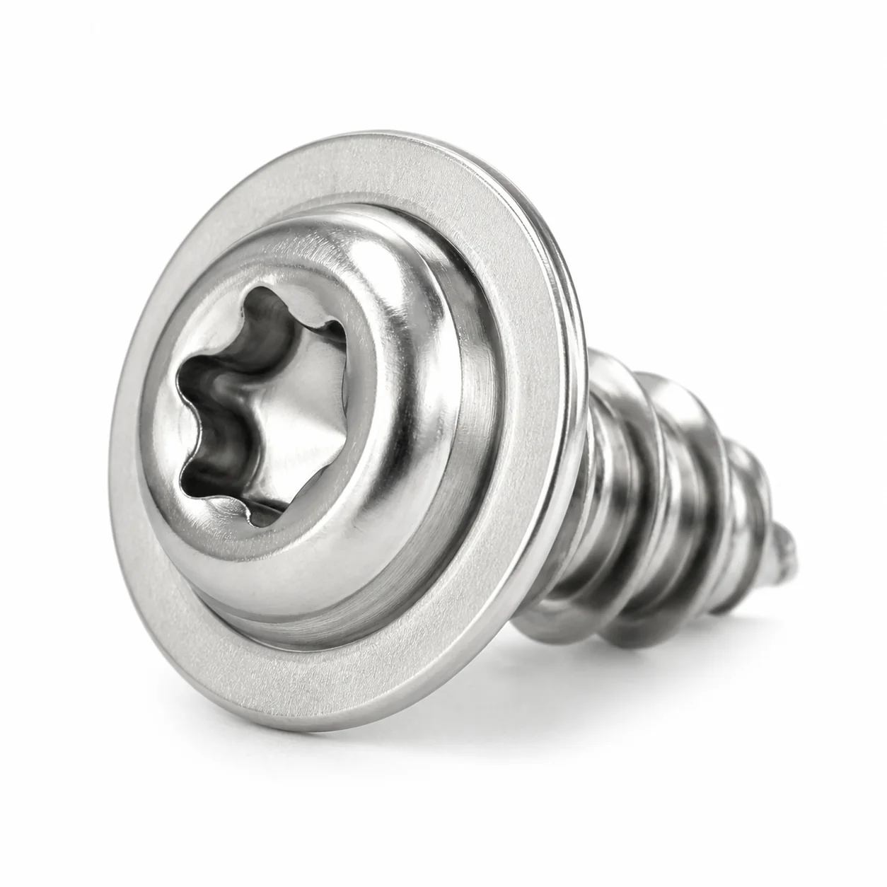 Stainless Steel Torx Washer Head Self-Tapping Screw for Lighting Fixtures – product view 3