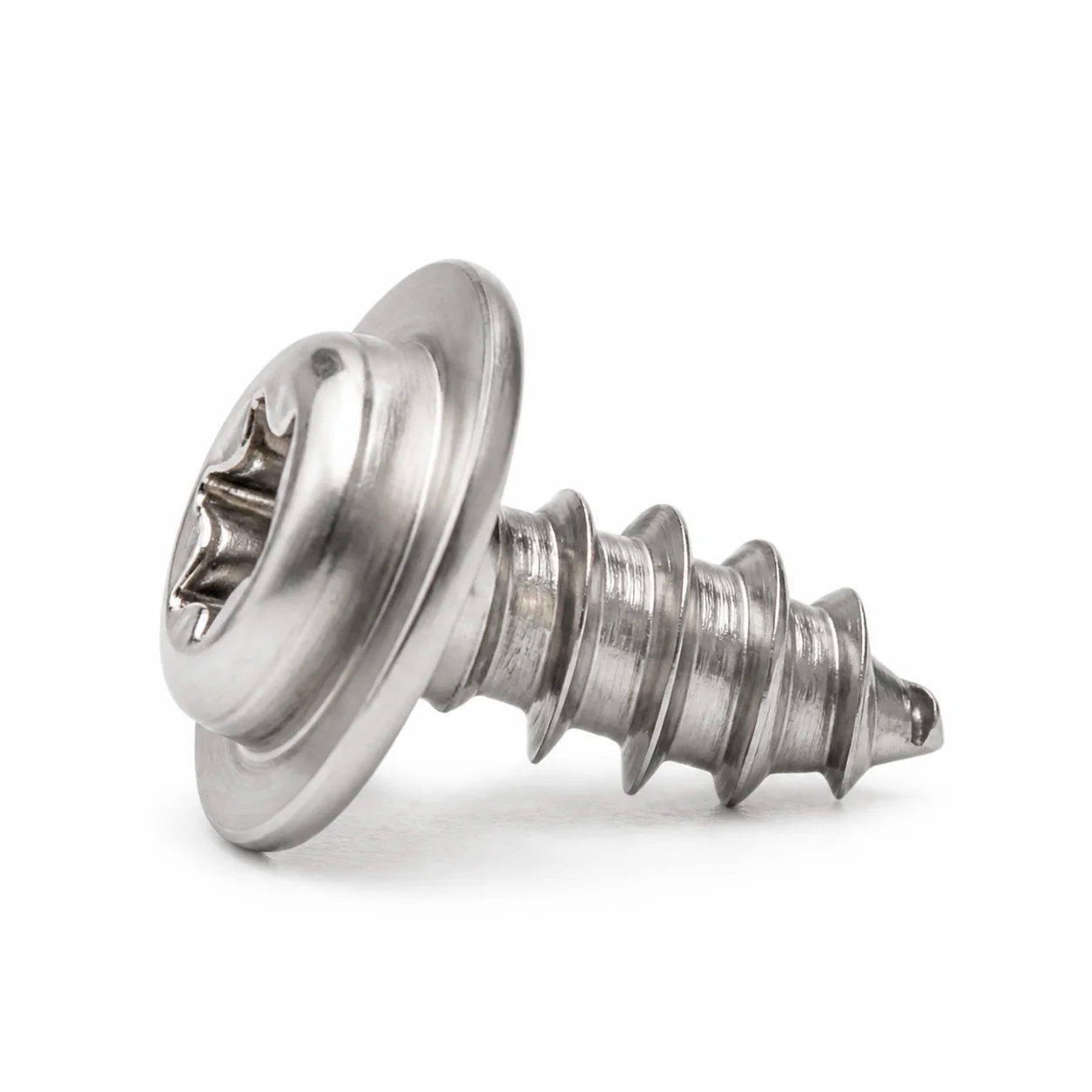 Stainless Steel Torx Washer Head Self-Tapping Screw for Lighting Fixtures – product view 4