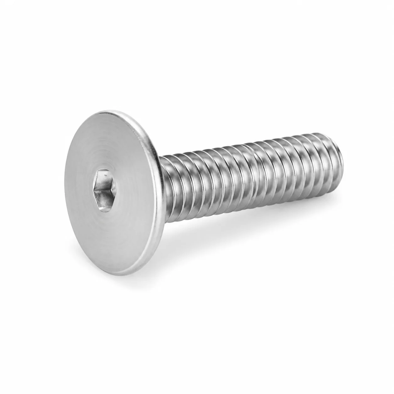 Stainless Steel Low-Profile Hex Socket Machine Screw for Lighting Fixtures – product view 2