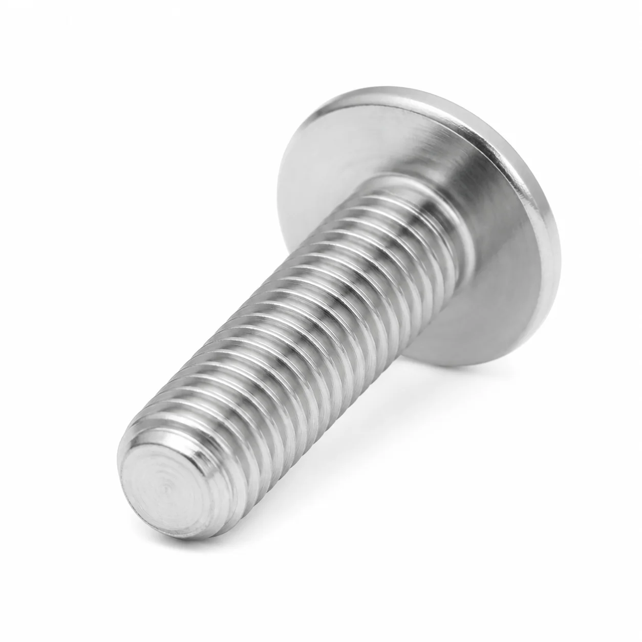 Stainless Steel Low-Profile Hex Socket Machine Screw for Lighting Fixtures – product view 4