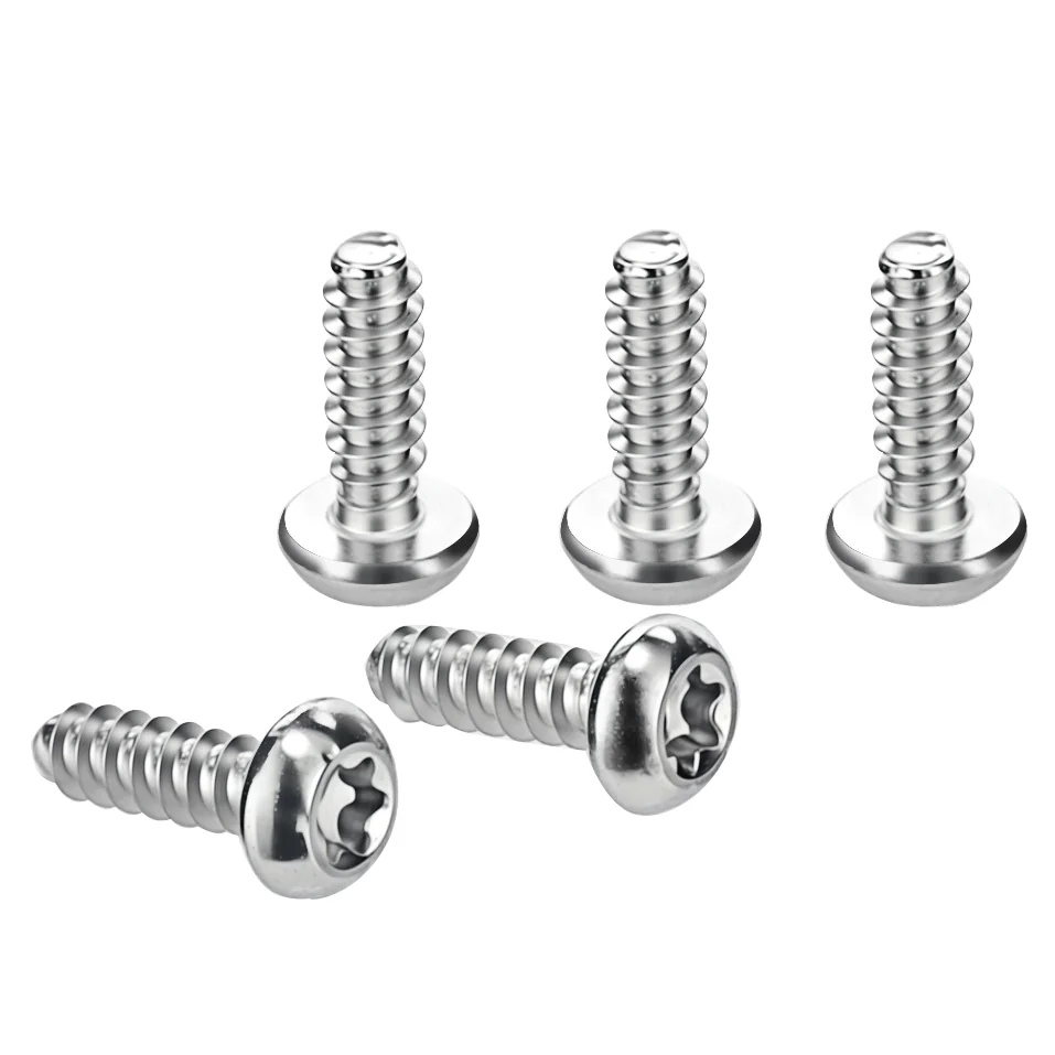 Stainless Steel Torx Pan Head Self-Tapping Screw for Furniture – product view 1