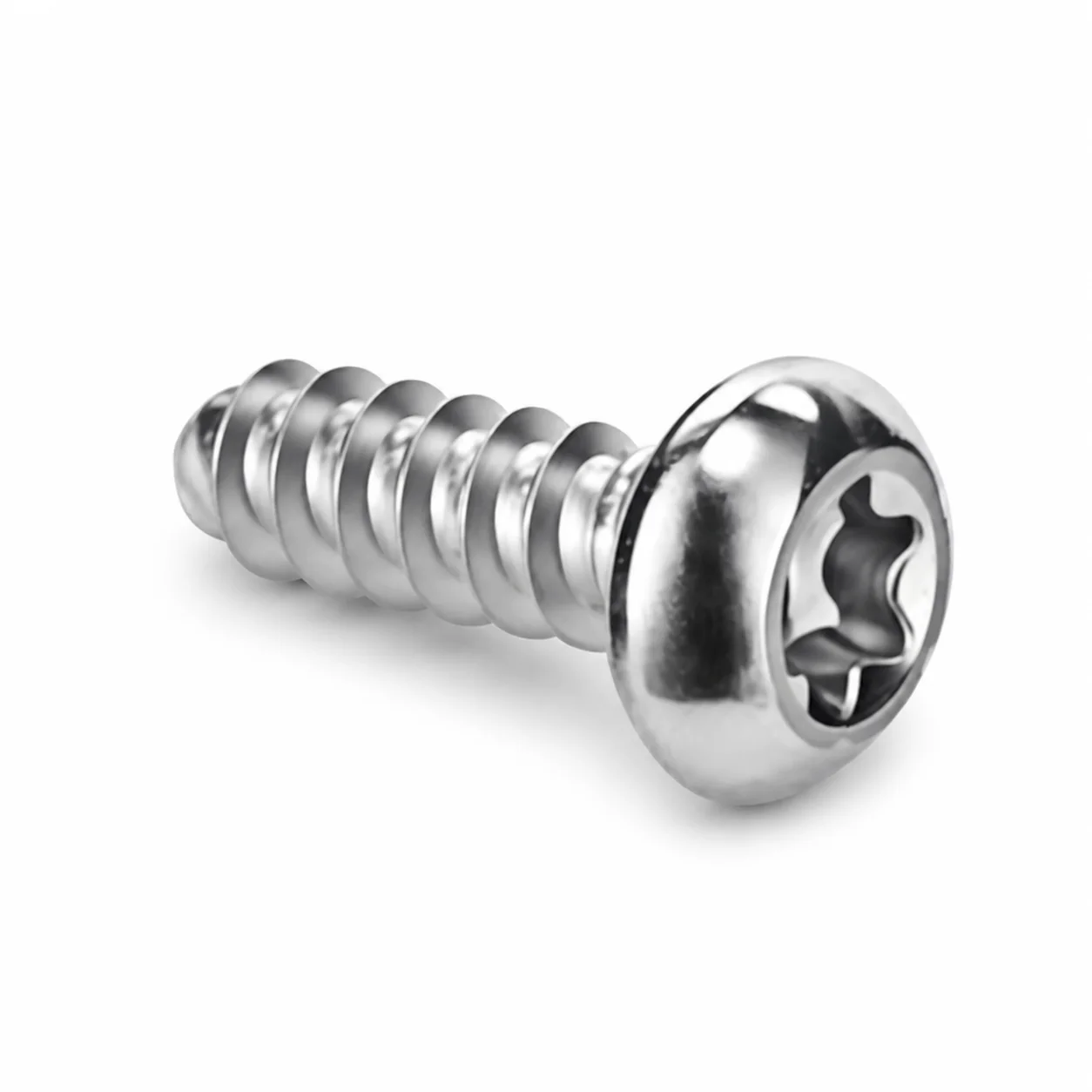 Stainless Steel Torx Pan Head Self-Tapping Screw for Furniture – product view 2