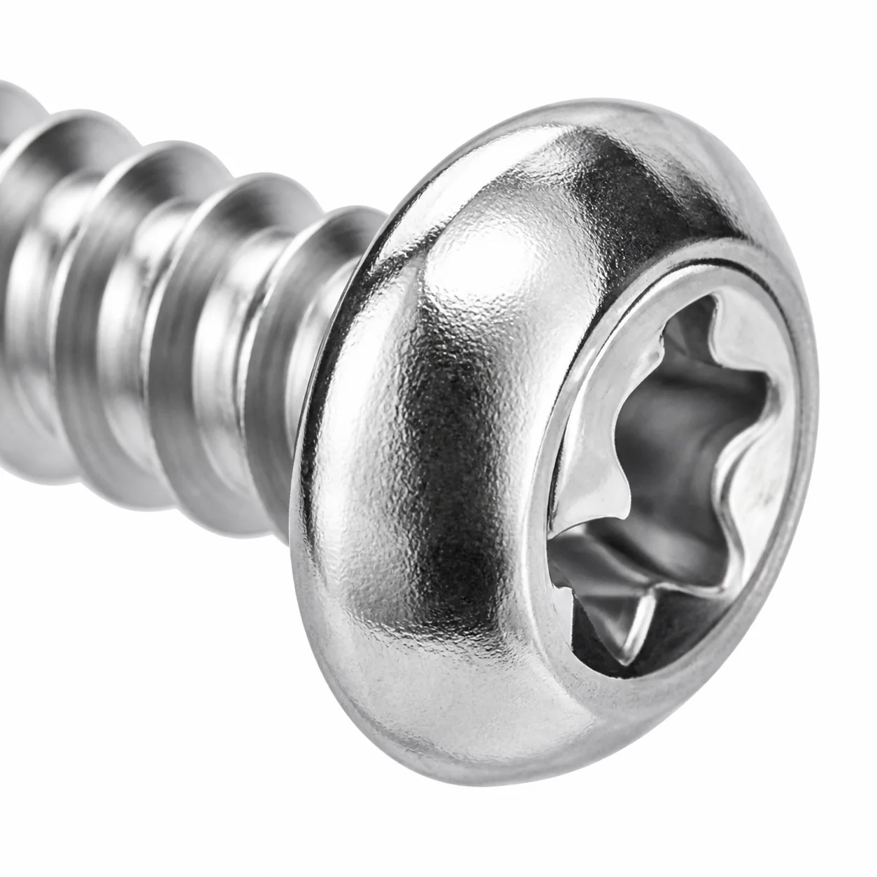 Stainless Steel Torx Pan Head Self-Tapping Screw for Furniture – product view 3