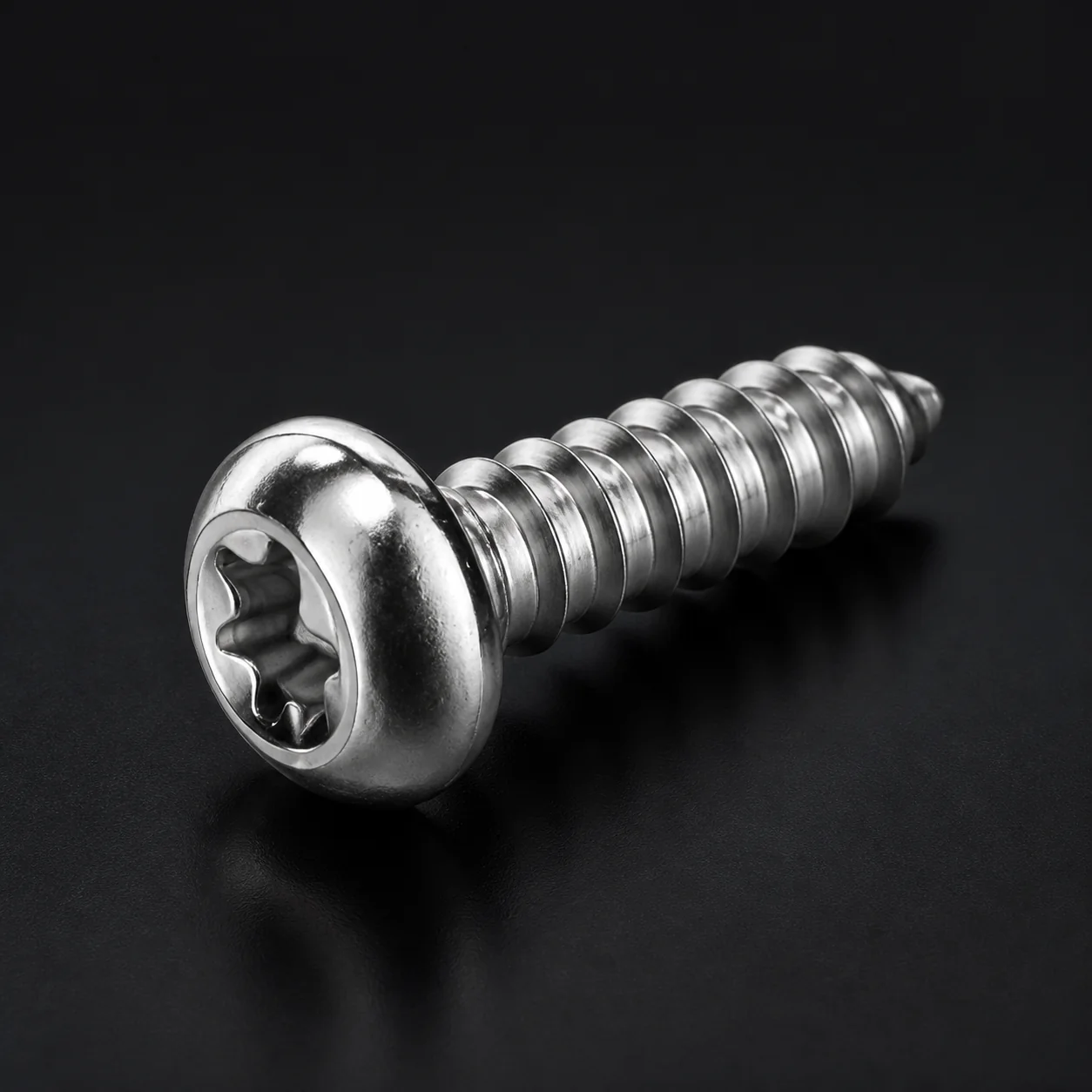 Stainless Steel Torx Pan Head Self-Tapping Screw for Furniture – product view 6