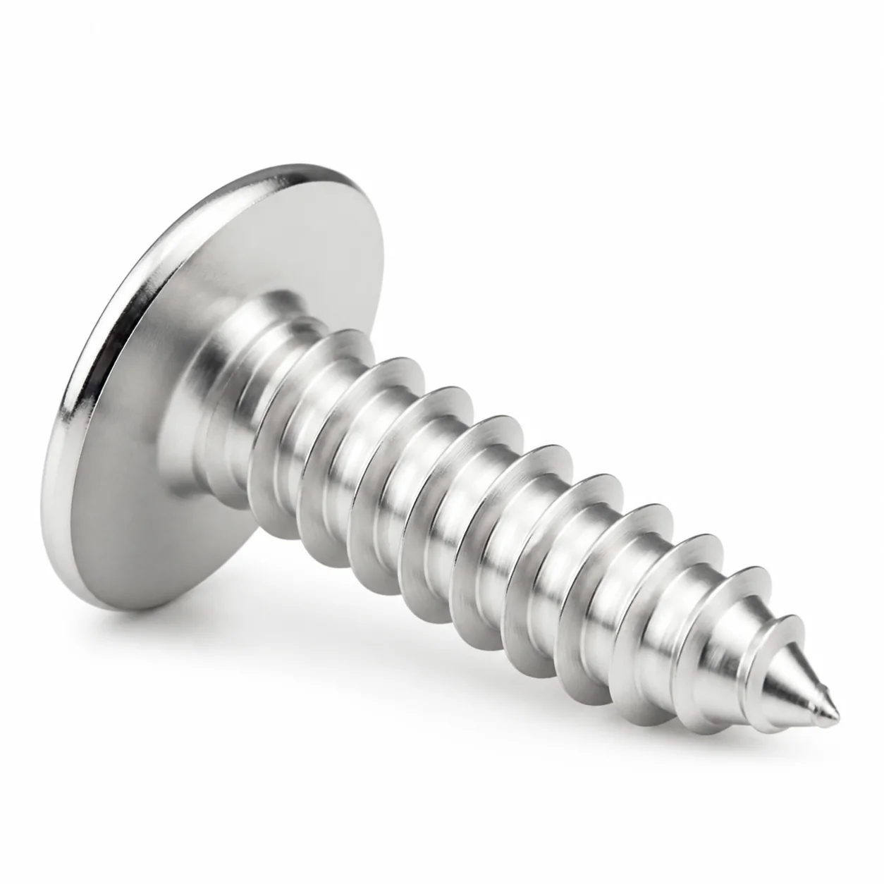 Stainless Steel Phillips Countersunk Self-Tapping Screw for Water Purifiers – product view 4