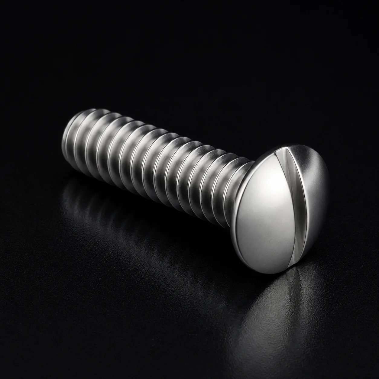Stainless Steel Slotted Truss Head Machine Screw for Sanitary Ware – product view 6